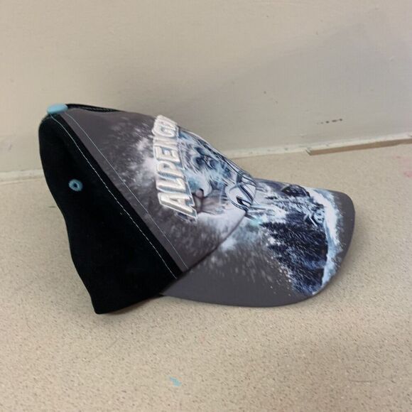 Busch Gardens Virginia‎ Alpengeist Rollercoaster Hat Cap Vintage - Picture 3 of 5